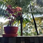 Kumbaya Beachside Hostel & Apartments At Arambol Beach