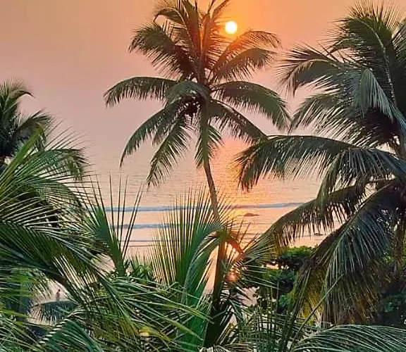 Kumbaya Beachside Hostel & Apartments At Arambol Beach